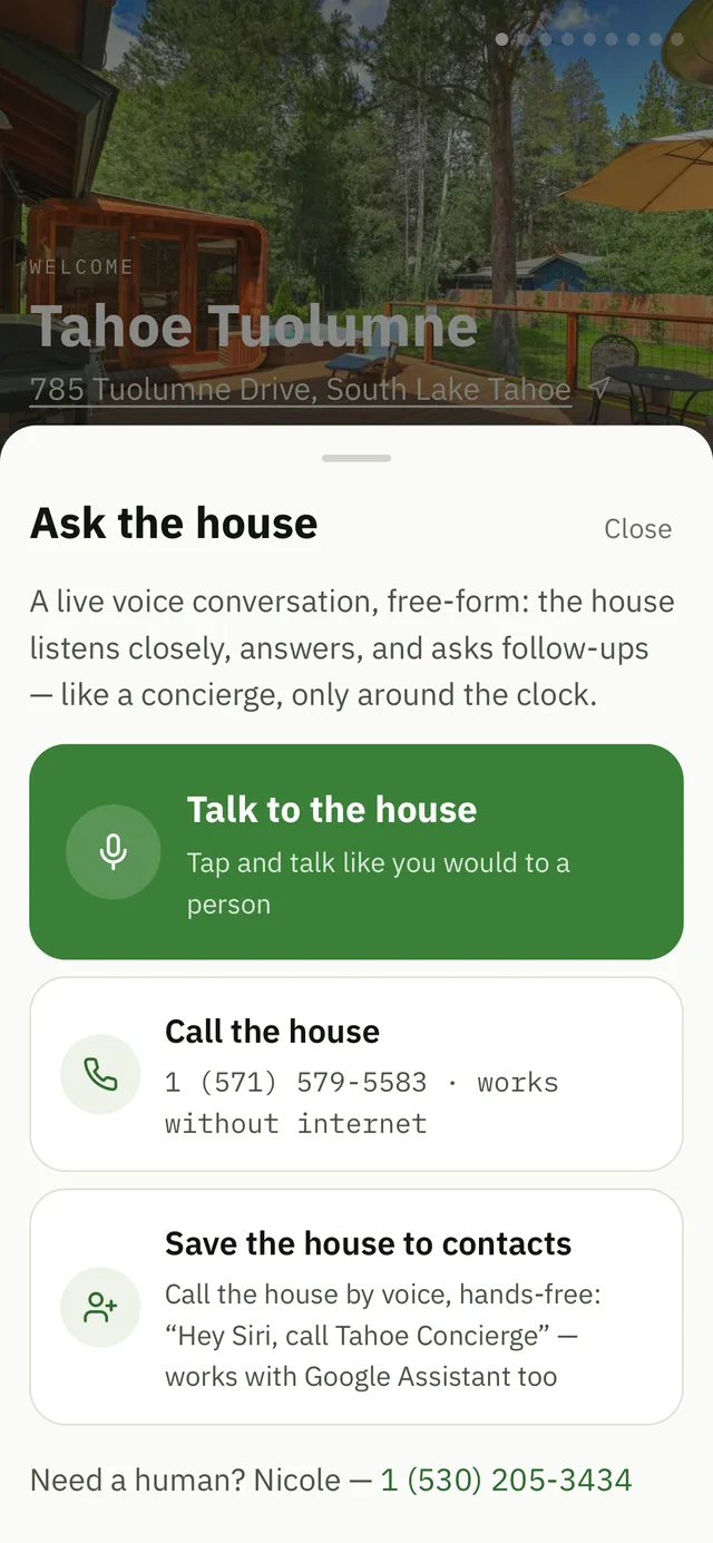 The Ask sheet: one button to talk, one to call, on a phone